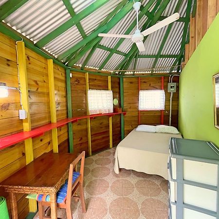 Judy House Backpacker Hostel Little Bay Zimmer foto