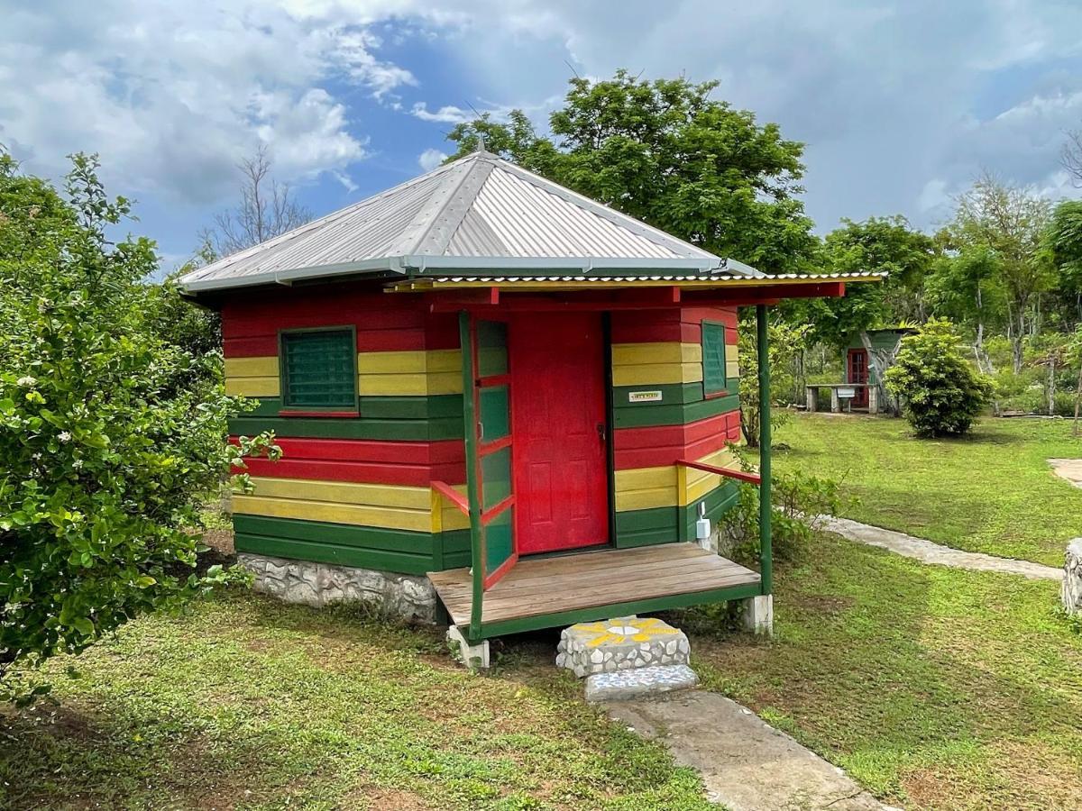 Judy House Backpacker Hostel Little Bay Exterior foto