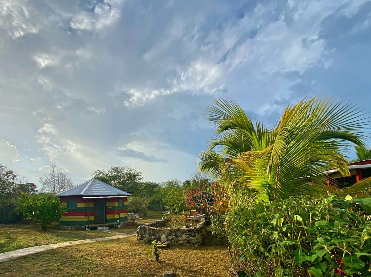 Judy House Backpacker Hostel Little Bay Exterior foto