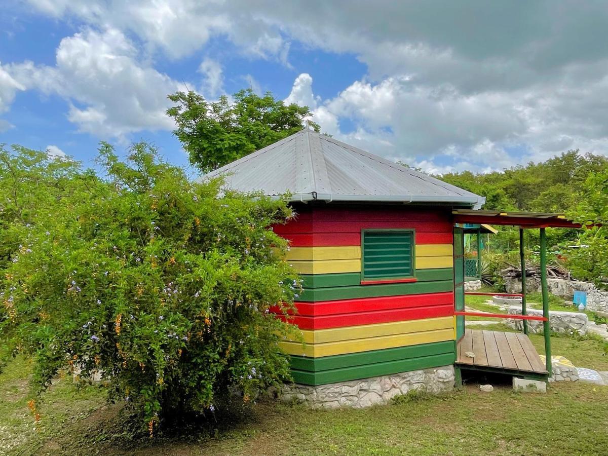 Judy House Backpacker Hostel Little Bay Exterior foto