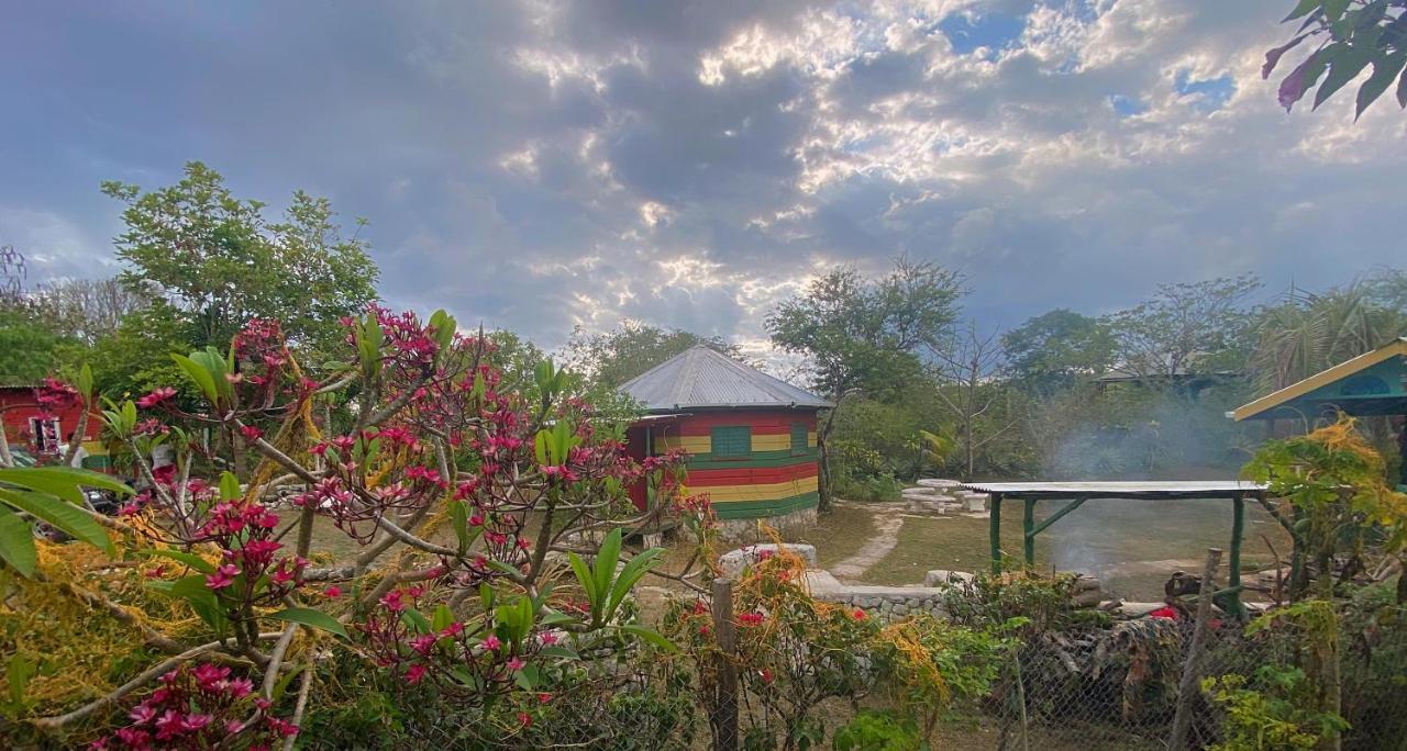 Judy House Backpacker Hostel Little Bay Exterior foto