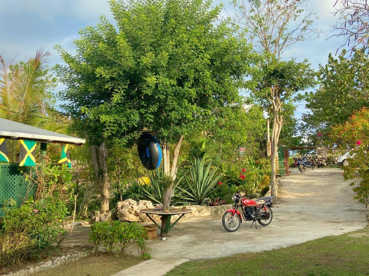 Judy House Backpacker Hostel Little Bay Exterior foto